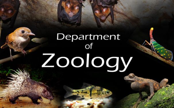 Zoology